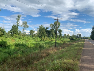 Land for Sale W/ Kelly Bayou W/ Utilities in Miller Co., AR - image 5