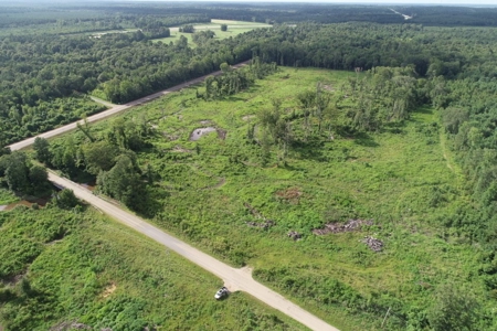 Land for Sale W/ Kelly Bayou W/ Utilities in Miller Co., AR - image 10