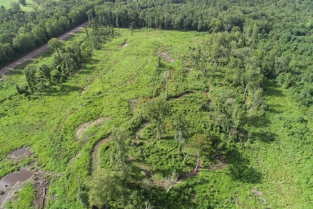 Land for Sale W/ Kelly Bayou W/ Utilities in Miller Co., AR - image 7
