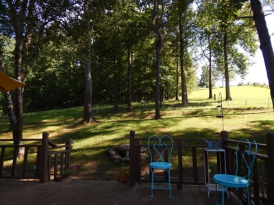 Tn Country Home 12.8 Acres, Orchard, Fenced Pasture, Woods - image 50