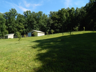 Tn Country Home 12.8 Acres, Orchard, Fenced Pasture, Woods - image 38
