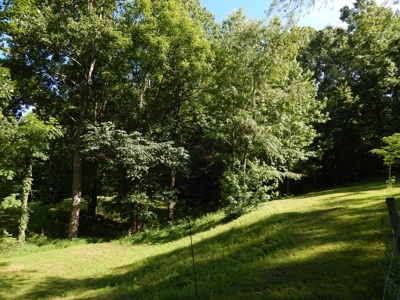 Tn Country Home 12.8 Acres, Orchard, Fenced Pasture, Woods - image 44