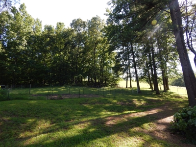 Tn Country Home 12.8 Acres, Orchard, Fenced Pasture, Woods - image 42