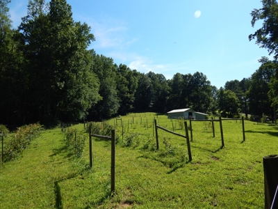Tn Country Home 12.8 Acres, Orchard, Fenced Pasture, Woods - image 46