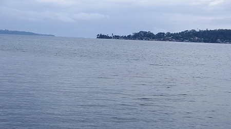 Titled ridge top lot  on Isla Solarte, Bocas del Toro Panama - image 27