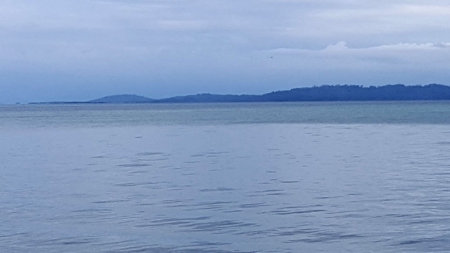 Titled ridge top lot  on Isla Solarte, Bocas del Toro Panama - image 25