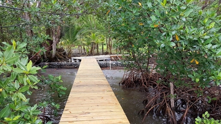 Titled ridge top lot  on Isla Solarte, Bocas del Toro Panama - image 8