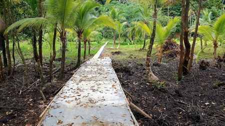 Titled ridge top lot  on Isla Solarte, Bocas del Toro Panama - image 5