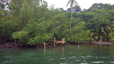 Titled ridge top lot  on Isla Solarte, Bocas del Toro Panama - image 9
