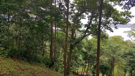 Titled ridge top lot  on Isla Solarte, Bocas del Toro Panama - image 20