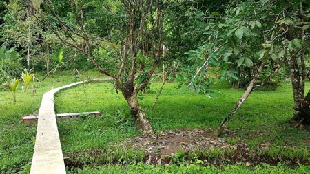 Titled ridge top lot  on Isla Solarte, Bocas del Toro Panama - image 1