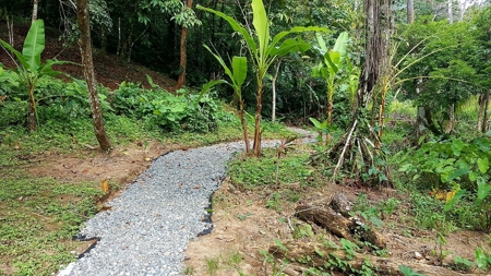 Titled ridge top lot  on Isla Solarte, Bocas del Toro Panama - image 2