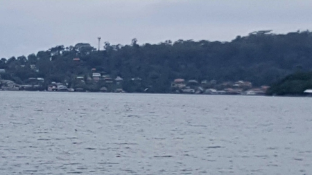 Titled ridge top lot  on Isla Solarte, Bocas del Toro Panama - image 26