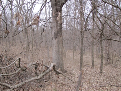 Northern Mo Hunting Lease Auction Grundy Co Mo, Online Only - image 9