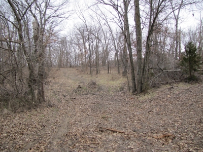 Northern Mo Hunting Lease Auction Grundy Co Mo, Online Only - image 28