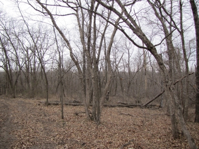 Northern Mo Hunting Lease Auction Grundy Co Mo, Online Only - image 14