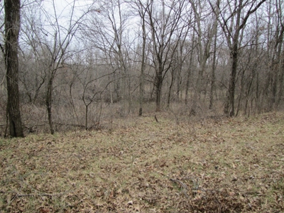 Northern Mo Hunting Lease Auction Grundy Co Mo, Online Only - image 4
