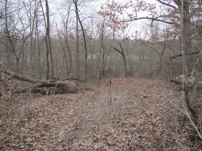 Northern Mo Hunting Lease Auction Grundy Co Mo, Online Only - image 13