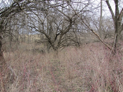 Northern Mo Hunting Lease Auction Grundy Co Mo, Online Only - image 2