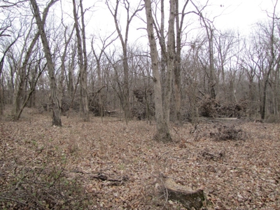 Northern Mo Hunting Lease Auction Grundy Co Mo, Online Only - image 31
