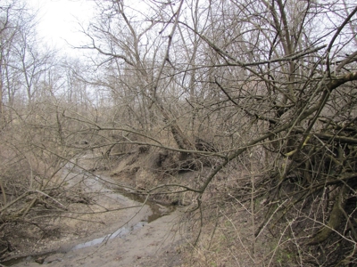 Northern Mo Hunting Lease Auction Grundy Co Mo, Online Only - image 3