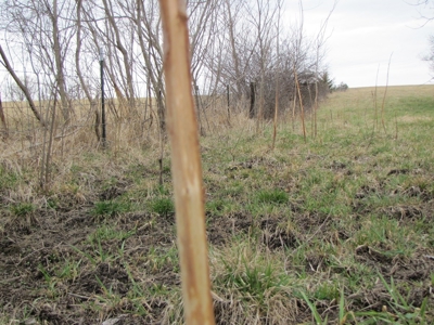 Northern Mo Hunting Lease Auction Grundy Co Mo, Online Only - image 7
