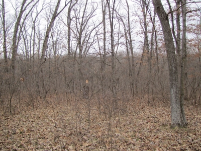 Northern Mo Hunting Lease Auction Grundy Co Mo, Online Only - image 29