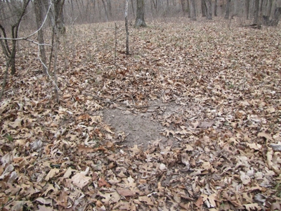 Northern Mo Hunting Lease Auction Grundy Co Mo, Online Only - image 12