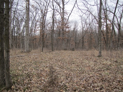 Northern Mo Hunting Lease Auction Grundy Co Mo, Online Only - image 11