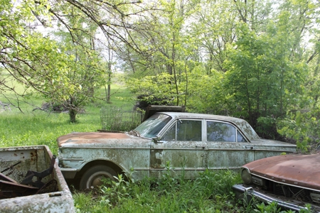 Dekalb County Mo Pickers Dream...62 Acres & Home - image 5