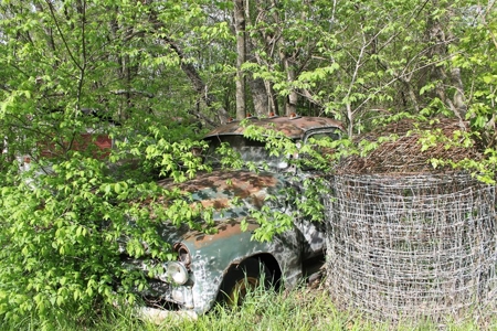 Dekalb County Mo Pickers Dream...62 Acres & Home - image 6