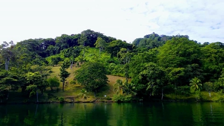 Elevated Breezy Building Site, Tierra Oscura, Panama - image 8