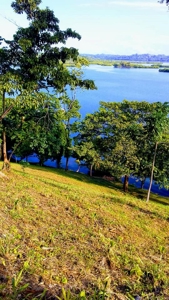 Elevated Breezy Building Site, Tierra Oscura, Panama - image 15