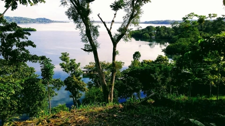 Elevated Breezy Building Site, Tierra Oscura, Panama - image 14