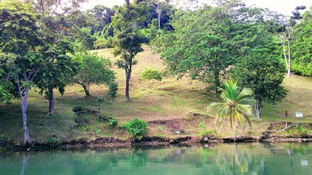 Elevated Breezy Building Site, Tierra Oscura, Panama - image 9
