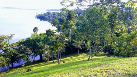 Elevated Breezy Building Site, Tierra Oscura, Panama - image 12