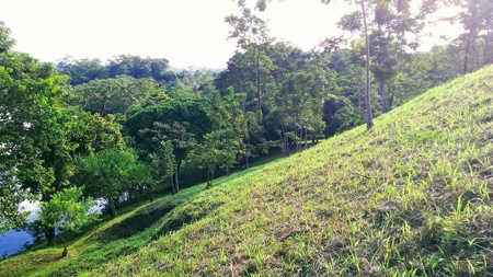 Elevated Breezy Building Site, Tierra Oscura, Panama - image 16