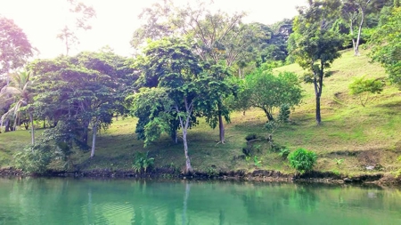 Elevated Breezy Building Site, Tierra Oscura, Panama - image 21