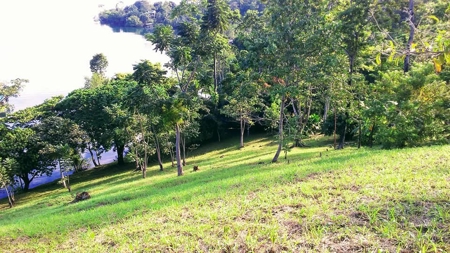 Elevated Breezy Building Site, Tierra Oscura, Panama - image 11