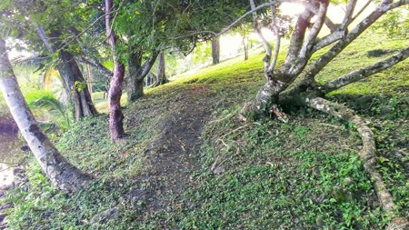 Elevated Breezy Building Site, Tierra Oscura, Panama - image 7