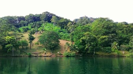 Elevated Breezy Building Site, Tierra Oscura, Panama - image 3