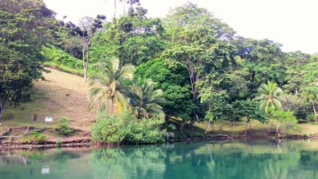200 feet of Waterfront on this Tierra Oscura, Panama lot - image 4