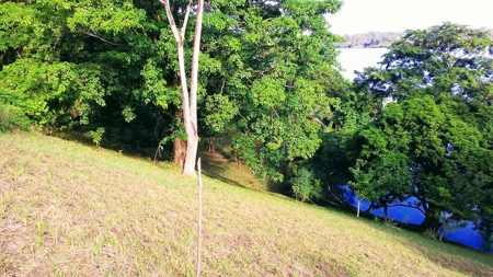 200 feet of Waterfront on this Tierra Oscura, Panama lot - image 6