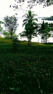 200 feet of Waterfront on this Tierra Oscura, Panama lot - image 9