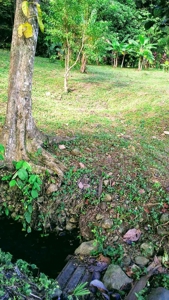 200 feet of Waterfront on this Tierra Oscura, Panama lot - image 17