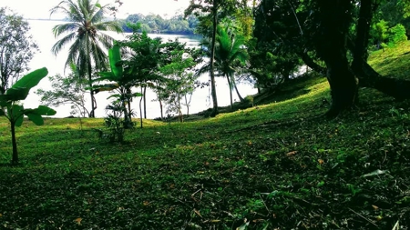 200 feet of Waterfront on this Tierra Oscura, Panama lot - image 10