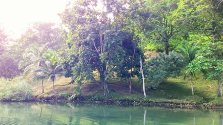 200 feet of Waterfront on this Tierra Oscura, Panama lot - image 1