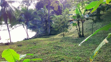 200 feet of Waterfront on this Tierra Oscura, Panama lot - image 12