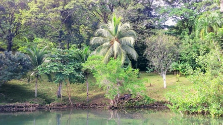 200 feet of Waterfront on this Tierra Oscura, Panama lot - image 3