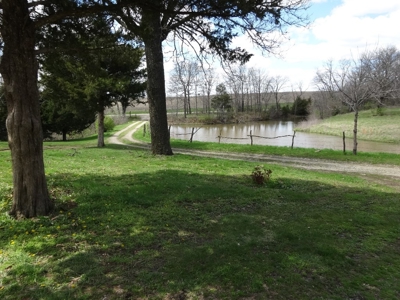 Real Estate Auction in NE Kansas - image 1
